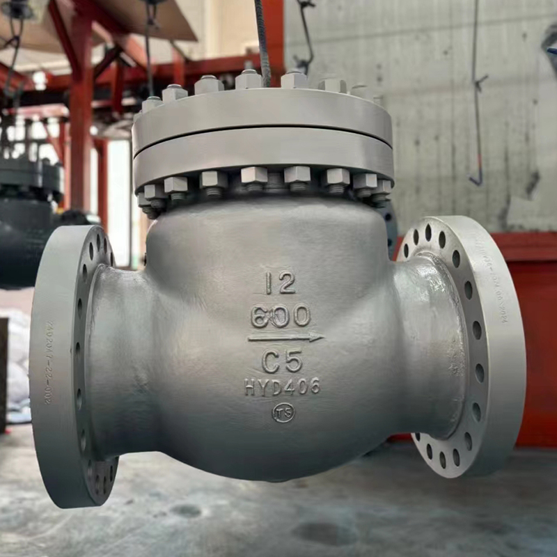 American standard check valve C5 material