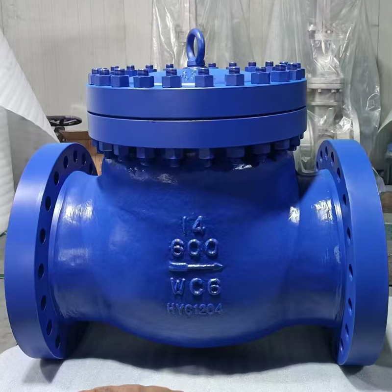 American standard check valve WC6 material